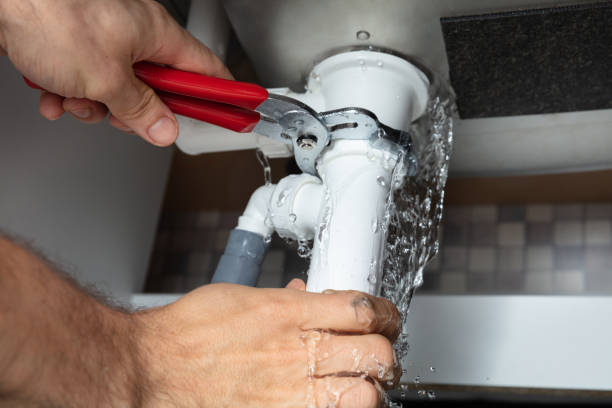 Best Flooded house restoration  in Gold River, CA