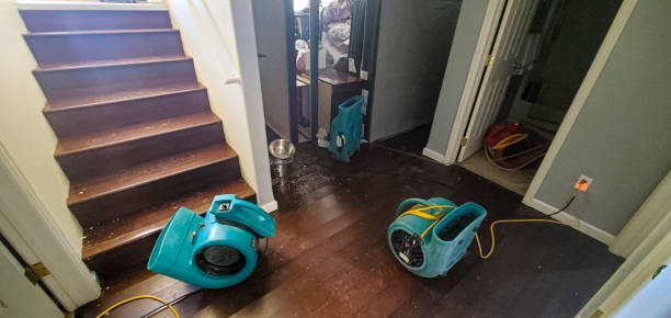 Best Carpet water damage restoration  in Gold River, CA