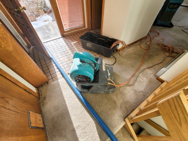 Best Professional water damage repair  in Gold River, CA