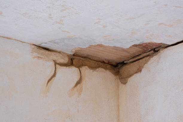 Best Water damage contractors near me  in Gold River, CA