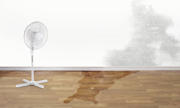 Best Professional water damage repair  in Gold River, CA