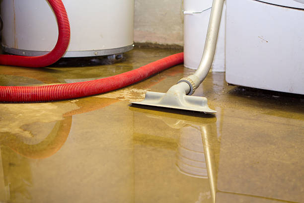 Best Water damage repair service  in Gold River, CA
