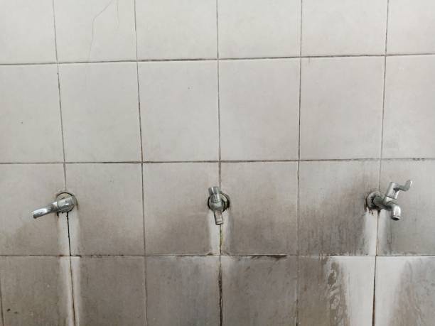 Best 24-hour water damage restoration  in Gold River, CA