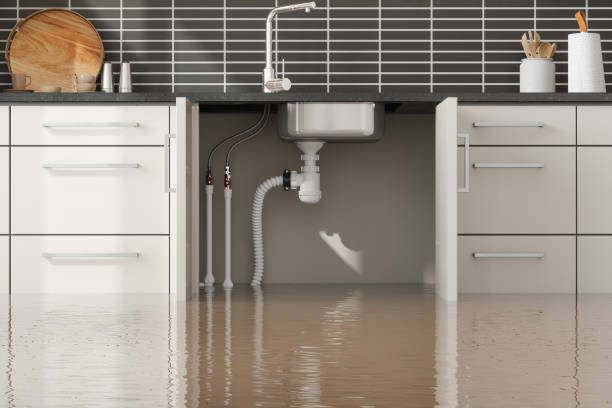 Best Flood damage cleanup  in Gold River, CA