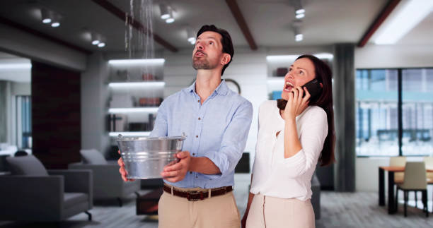 Best Water damage cleanup near me  in Gold River, CA